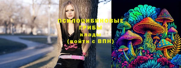 стафф Киреевск