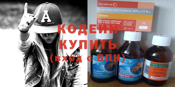 крисы Киренск