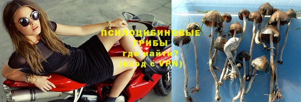 кокс Кинешма