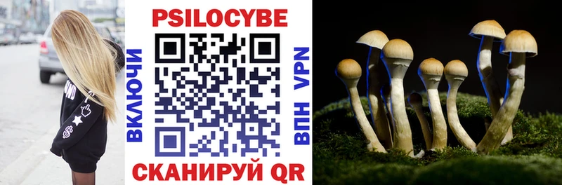 Купить  Выкса  Галлюциногенные грибы мицелий 